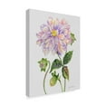 thumbnail image 2 of Trademark Fine Art 'Botanicals 1' Canvas Art by Jean Plout, 2 of 3
