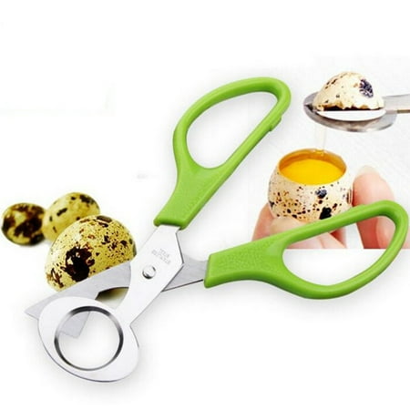 

Teissuly Pigeon Bird Quail Egg Cutter Tool Quail Egg Scissors Opener Cracker Stainless Steel Blade Kitchen Tool