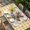 Yellow Beige, variant on Pig Sunflowers Table Cloths for 4 Foot Rectangle Tables, Yellow Floral Black White Checkered Rustic Patio Waterproof Elastic Fitted Tablecloths, Washable Rectangular Table Cover for Camping