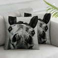 thumbnail image 3 of nygtbtfer Throw Pillows Cover  Brown Sketch Ass Front View Young Large Head Looks Animals Wildlife Donkey Nature Mule Creature Cute Cushion Case  Linen for Fall Home Decor White, 3 of 7