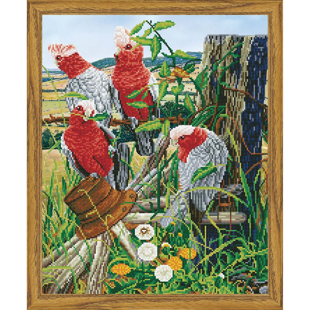 Diamond Dotz® Galah Quartet Diamond Painting - Walmart.com - Walmart.com