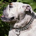 thumbnail image 4 of Silver Cuban Chains Dog Collar Necklace for French English Bulldog American Bully Rottweilers, 4 of 8