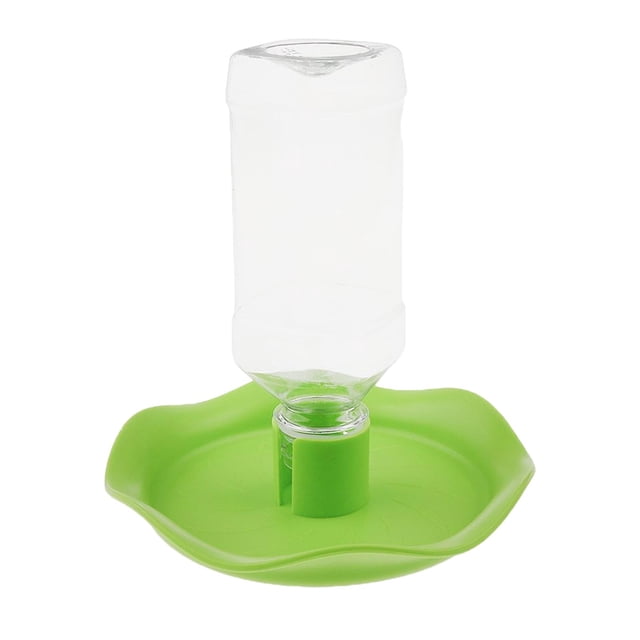 Alimentador Auto de Fuente de Botella de de Bebedor de Agua de Tortuga de de Animal Doméstico 4 Colco Cuenco de agua de tortuga