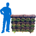 Bluegrass 500 Sq Ft Sod Pallet Walmart bluegrass-500-sq-ft-sod-pallet-walmart