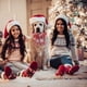 thumbnail image 5 of Collar navideño para perro con lazo, collar navideño con lazo para perro, regalos para fiestas navideñas, 5 of 5