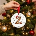 thumbnail image 5 of Fievgin Christmas Ornament 2026, Letter Z Initial Decoration with Santa Hat for Tree & Gift, 5 of 7