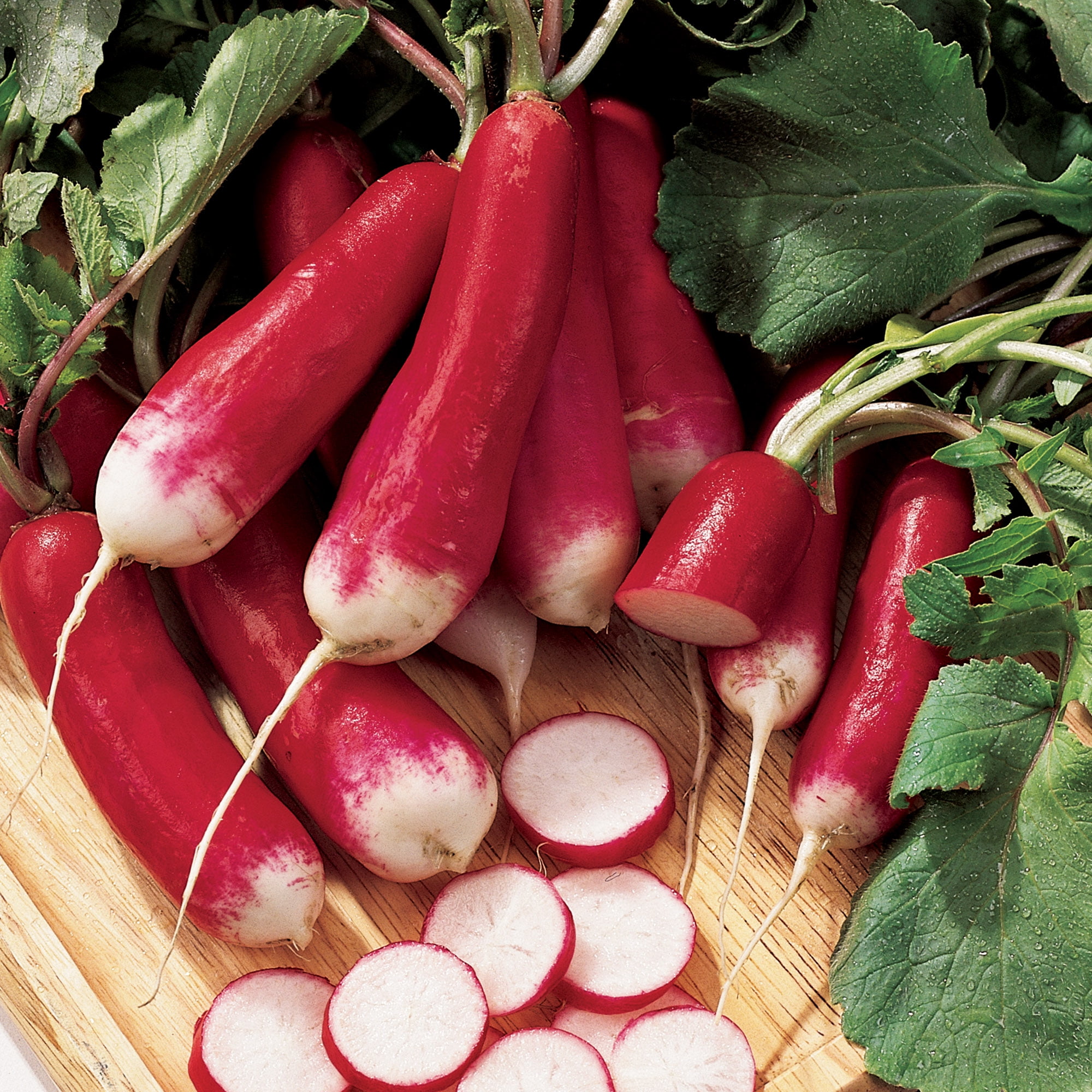 Burpee French Dressing Radish Seed, Annual Vegetable, Full Sun