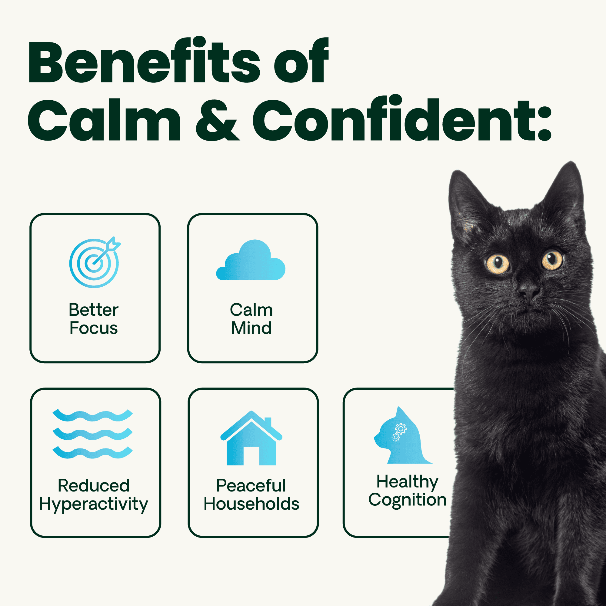 VetriScience Composure Calm & Confident Unflavored Liquid Formula, Calming & Anxiety Supplement for Dogs & Cats