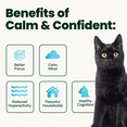 thumbnail image 5 of VetriScience Composure Calm & Confident Unflavored Liquid Formula, Calming & Anxiety Supplement for Dogs & Cats, 5 of 12