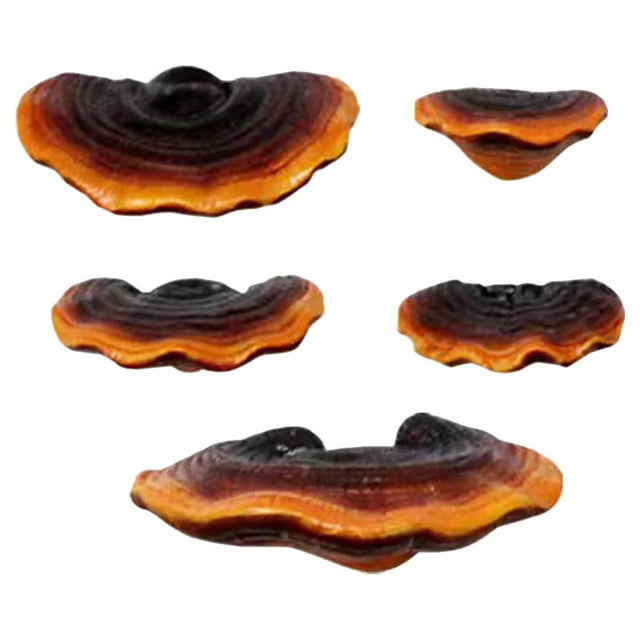 1 Set of Fake Ganoderma Decorations Resin Mushrooms Crafts Simulation Mushrooms for Tree Decorations