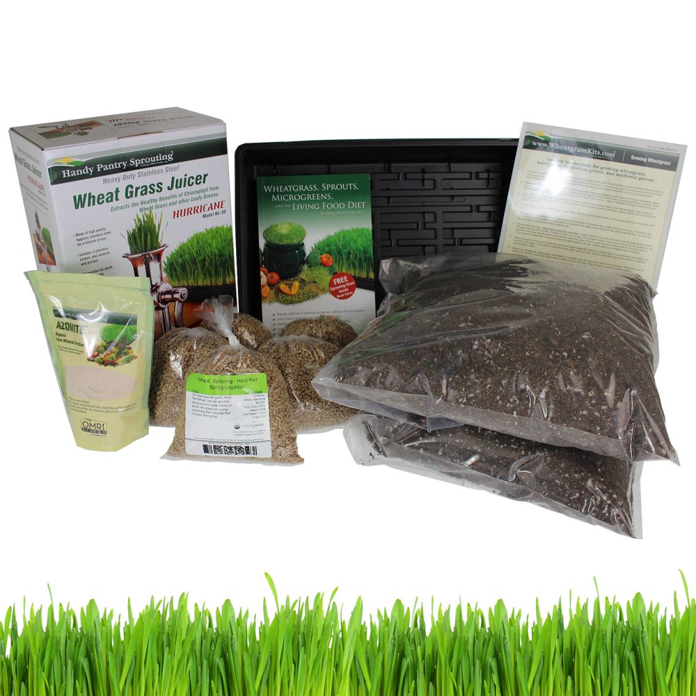 Organic Wheatgrass Growing Kit w/ Hurricane Stainless Steel Wheat Grass