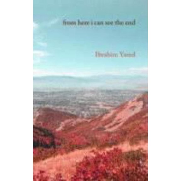 Pre-Owned From Here I Can See the End (Paperback) 0863565352 9780863565359