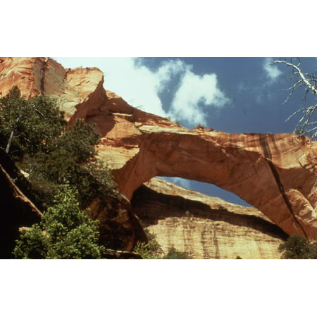 Acrylic Face Mounted Prints Kolob Arch Zion National Park Utah S Print 24 x 36. Worry Free Wall Installation - Shadow Mount is