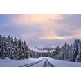 thumbnail image 2 of Xu  14x11 White Modern Wood Framed Museum Art Print Titled - To the Wonderland, 2 of 4