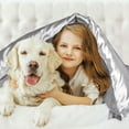 thumbnail image 3 of Ensemble de Literie pour la Maison 3 Pcs Housse de Couette Satin Soie pour Couette Gris Simple, 3 of 8