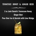thumbnail image 6 of Jack Daniel's Tennessee Honey Flavored Whiskey Specialty, 375 ml Bottle, 35% ABV, 6 of 7
