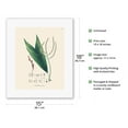 thumbnail image 2 of Geonoma Acutiflora Palm (Geonoma baculifera) - Vintage Botanical Illustration by Carl Friedrich Philipp von Martius c.1820s - Fine Art Rolled Canvas Print 11in x 14in, 2 of 4