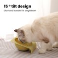 thumbnail image 6 of Kripyery Cats Bowl No Spill Non-Skid 15 Degree Inclined Design Smooth Edges Large Capacity Holder Food Grade Pet Food Feeder Bowl Pet Supplies, 6 of 7