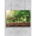 thumbnail image 1 of Nursery Garden. Poster -Image by Shutterstock, 1 of 2