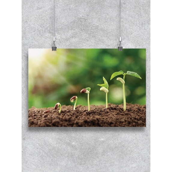 Nursery Garden. Poster -Image by Shutterstock