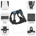 thumbnail image 6 of Picia Blue Viper Snake No-Pull Dog Harness Reflective Front Clip Vest with Handle,Step-in Air Dog Harness,Adjustable 2 Metal Rings 4 Buckles,Easy to Put on & Take Off Medium, 6 of 9