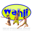 thumbnail image 2 of Wahii WaterSlide 50 - World's Biggest Backyard Lawn Water Slide - Classic Since 2009, 2 of 6