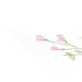 thumbnail image 5 of Ryvnso Placemats Set of 4 Flowers Bouquet Dining Mats Heat-Resistant Non-Slip Washable Table Mat, 5 of 8