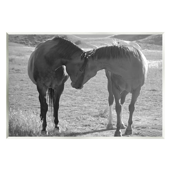 Stupell Industries Horses Hugging Photography Animals & Insects Photography Unframed Art Print Wall Art, 15 x 10