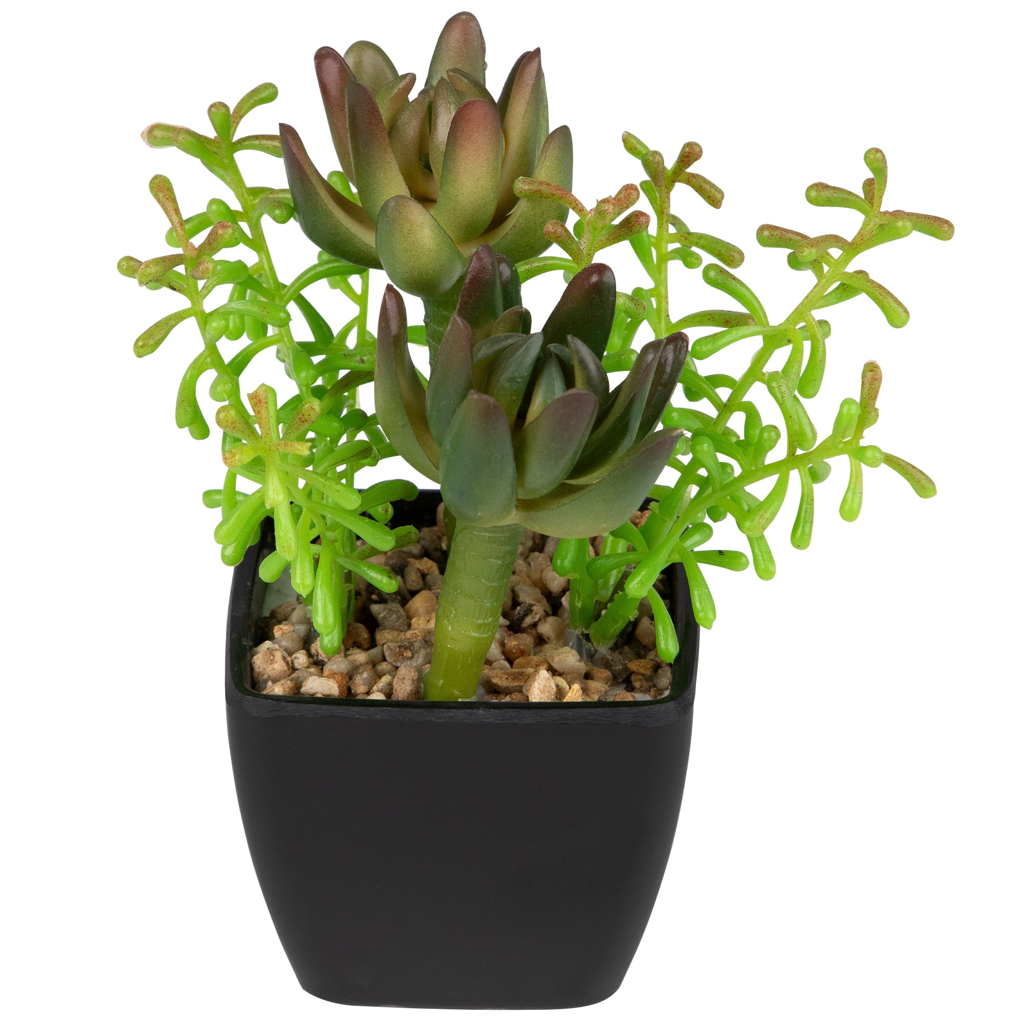 Northlight Potted Artificial Succulent Arrangement - 6"