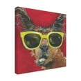 thumbnail image 2 of Trademark Fine Art 'Dapper Animal IV' Canvas Art by Jennifer Rutledge, 2 of 4