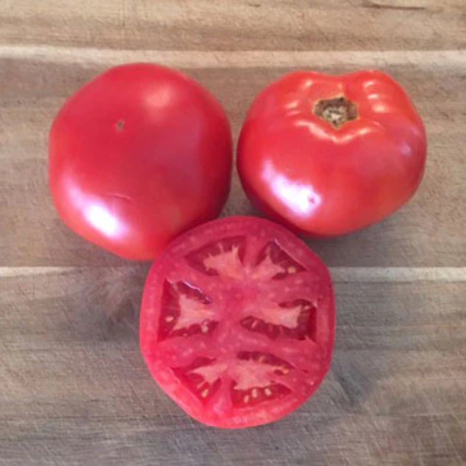 Tomato Seeds - Galahad Organic Variety Tomato Seeds - Non-GMO - 50 Seeds
