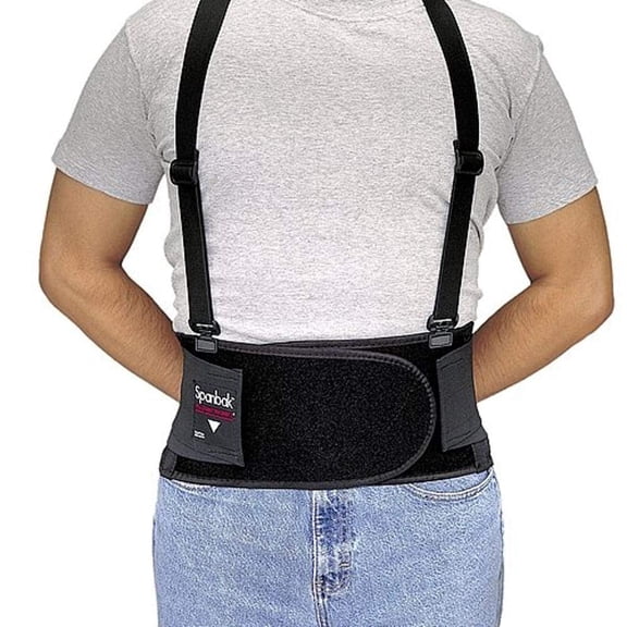Allegro Back Support, Breathable, Suspender, L