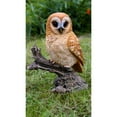 thumbnail image 5 of Hi-Line Gifts 12.5" Tawny Owl on Stump Outdoor Garden Statue, 5 of 5