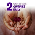 thumbnail image 6 of Flintstones Kids Elderberry Gummies with Immunity Support, 60 Count, 6 of 14