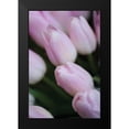 thumbnail image 2 of Berzel, Erin 17x24 Black Modern Framed Museum Art Print Titled - Soft Pink Tulips II, 2 of 5