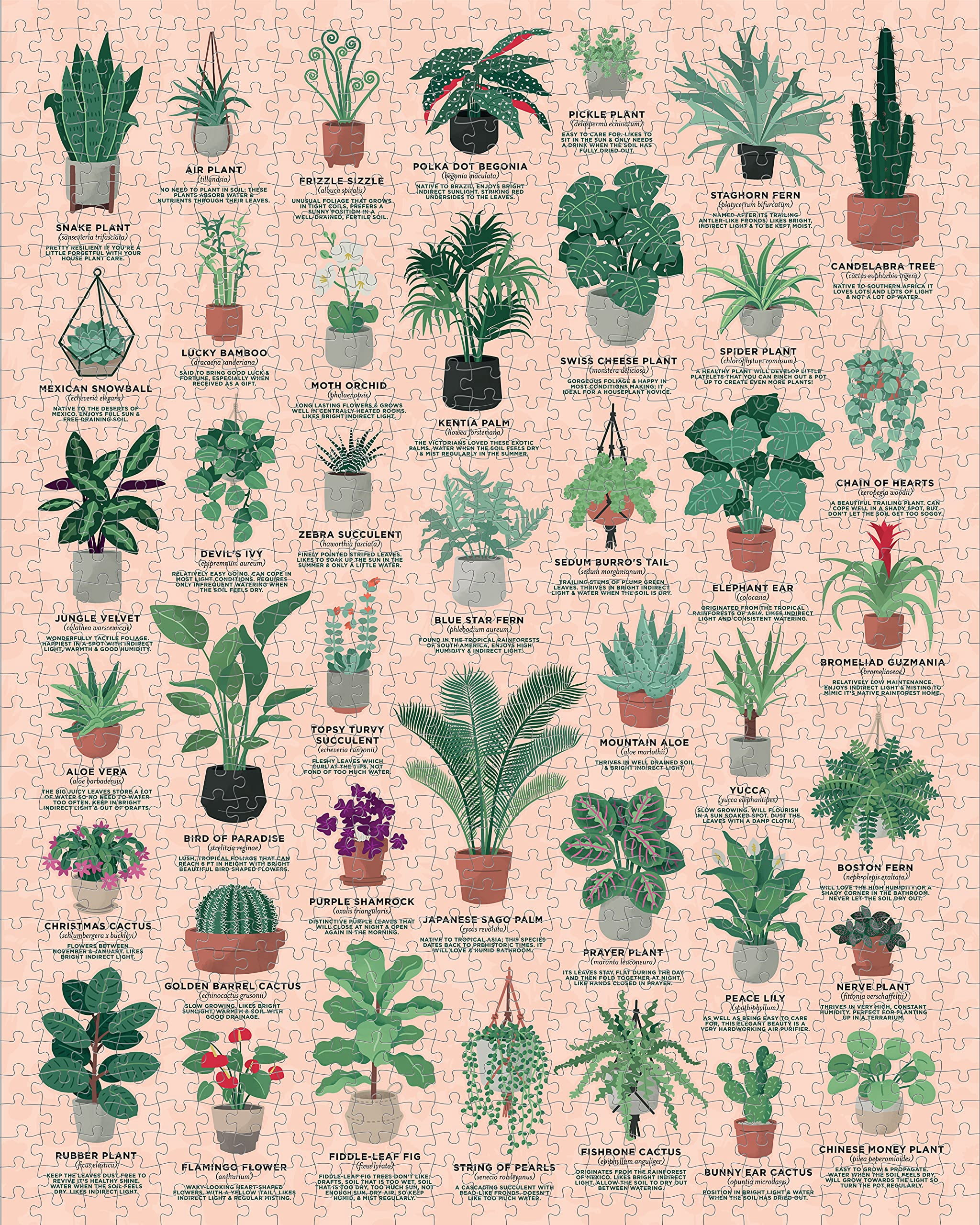 House Plants 1000 Piece Jigsaw Puzzle (Other)