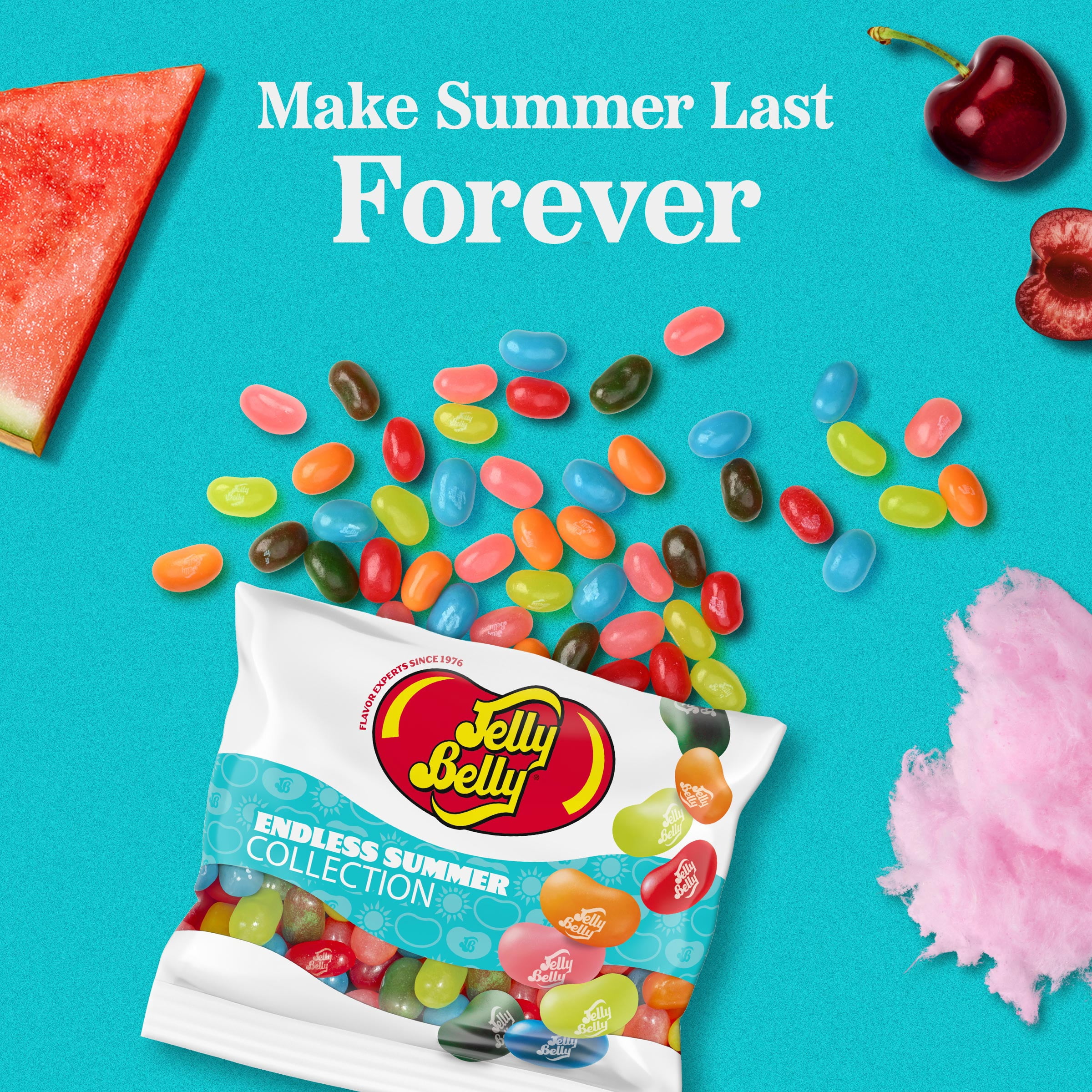 Jelly Belly Endless Summer Jelly Bean Collection - 3.5 oz Grab & Go® Bag, 12-Count Case - Genuine, Official, Straight from the Source