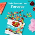 thumbnail image 2 of Jelly Belly Endless Summer Jelly Bean Collection - 3.5 oz Grab & Go® Bag, 12-Count Case - Genuine, Official, Straight from the Source, 2 of 9