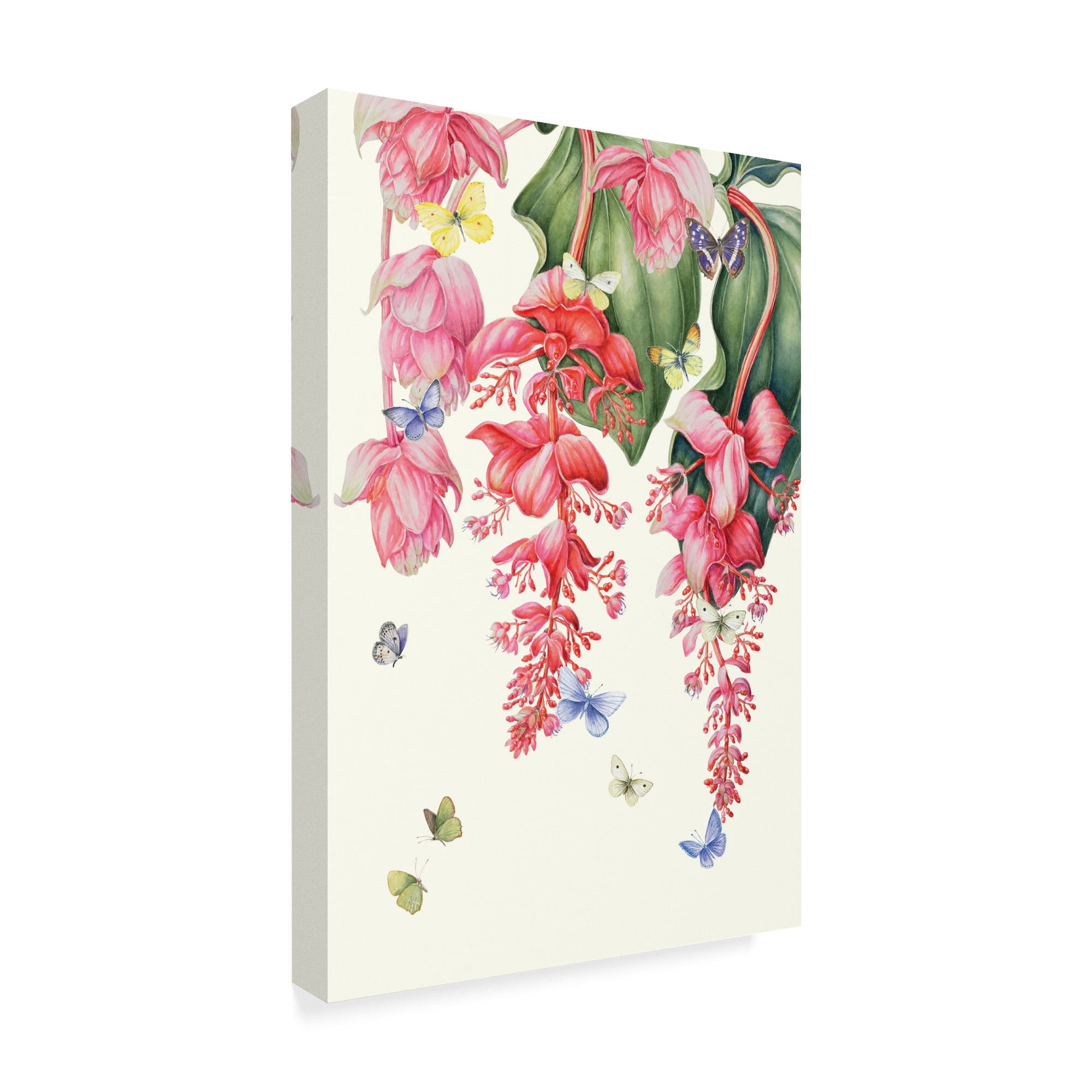 Trademark Fine Art 'Medinilla' Canvas Art by Janneke Brinkman-Salentijn