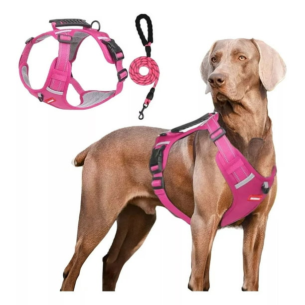 Pechera Arnés Transpirable Cómodo Con Correa Para Perro 1.5m