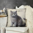 thumbnail image 2 of British Shorthair Cat Kitty Themed Decorations for Home, Funny Quote I Just Freaking Love British Shorthair Cats Okay Throw Pillow Cover ”, British Shorthair Cat Lover Gifts, 2 of 5