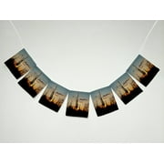 GCKG Nature Scenery Landscape at Sunset with Saguaro Cactus Banner Bunting Garland Flag Sign for Home Family Party Decoration