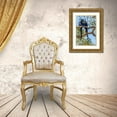 thumbnail image 3 of Jaynes Gallery 13x18 Gold Ornate Wood Framed with Double Matting Museum Art Print Titled - Brazil-Pantanal Hyacinth macaw pair in tree, 3 of 4