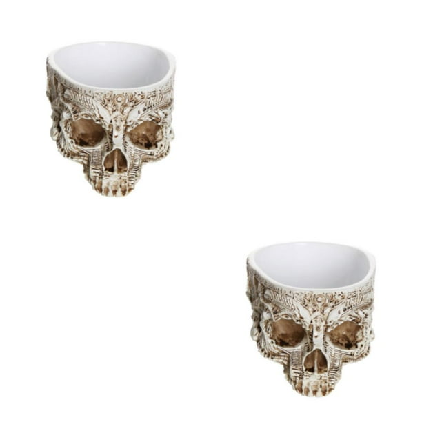 Naiovety Macetas artísticas de resina con forma de calavera para suculentas, maceta con cabeza de calavera de aplicación única y amplia, M 4 m 4 2piezas