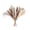 C, variant on Dried Pampas Grass Decor With Bunny Tails Faux Boho Flowers For Wedding Home Table Party