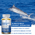 thumbnail image 4 of (3 Pack)Omega 3 Fish Oil Supplements - EPA & DHA - Supports Heart, Brain, Joint & Immune Health, Mercury Free, Non-GMO, 360 Softgels, 4 of 6