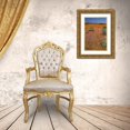 thumbnail image 3 of Kaveney, Wendy 23x32 Gold Ornate Wood Framed with Double Matting Museum Art Print Titled - Wildflower season, Namaqua NP, South Africa, 3 of 4