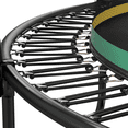 thumbnail image 5 of 14FT Springfree No Gap Trampoline with Safety Enclosure Net and Ladder, Bungee Jumping Mat for Kids and Adults, Outdoor Backyard Recreation with Zipper System and Storage Bag, 5 of 9