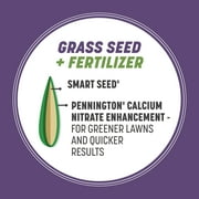 Pennington Smart Seed Dense Shade Grass Seed Mix. 3 lb.