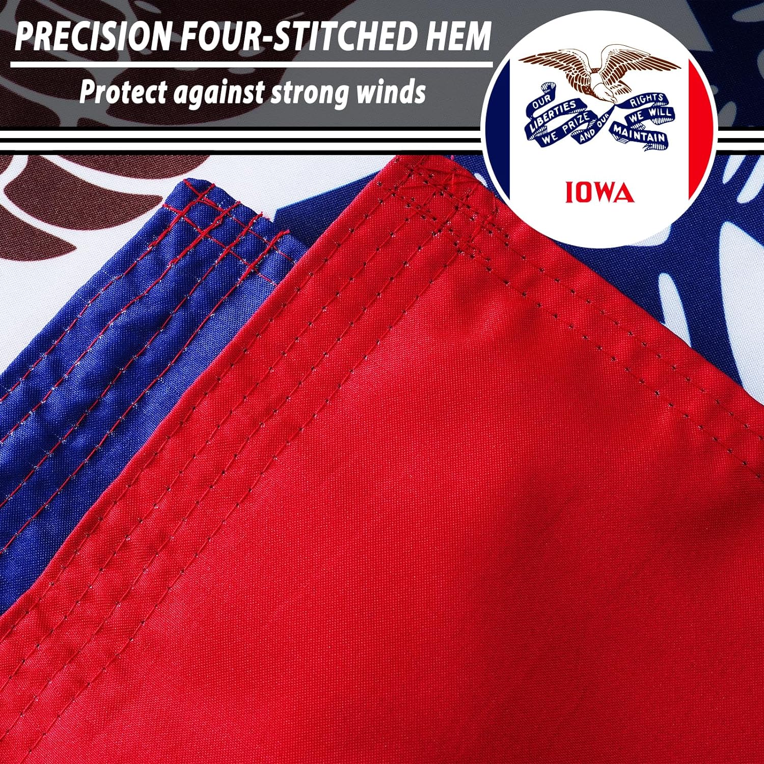 FLAGWIN Iowa Flag 3x5 FT - 3 Ply Double Sided Polyester Iowa State Flag with Brass Grommets - Vivid Color and Fade Proof State of Iowa Flag 3x5 Outdoor